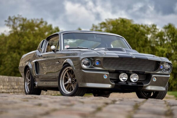 Classic Mustang car in nature