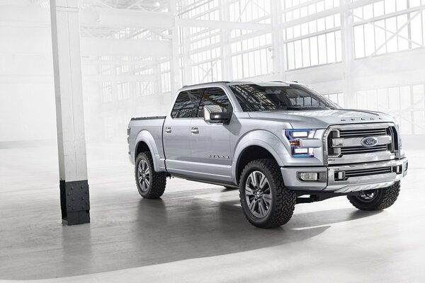 Il pickup Ford è molto buono per i viaggi in famiglia
