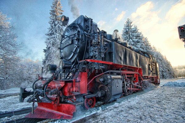 Steam locomotive on the background of coniferous trees and covered with snow