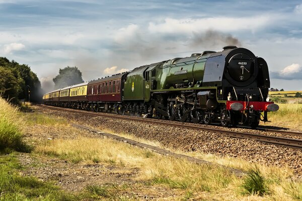 Railway and steam locomotive. Train in the forest