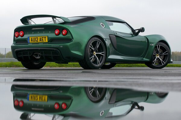 A green lotus on the road is reflected in a puddle