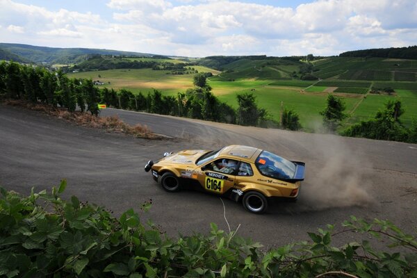 Rally on green nature