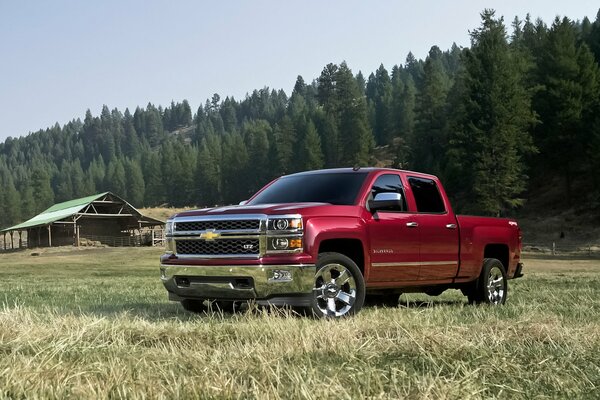 Красный Chevrolet Silverado 1500 2014 г. пикап в Северной Америке