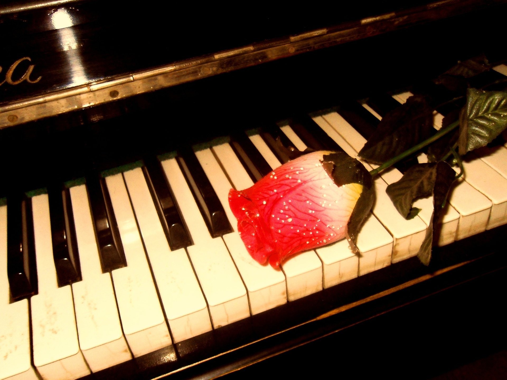 musica rosa pianoforte