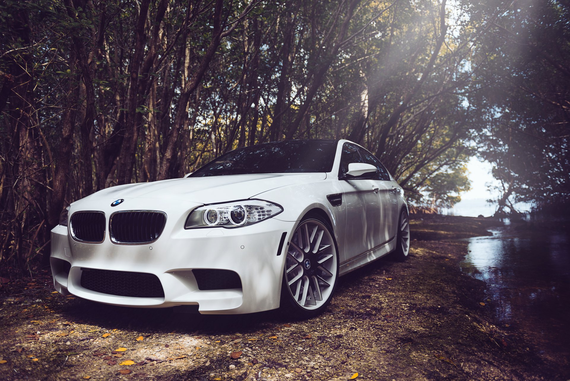 bmw m5 f10 белый бмв