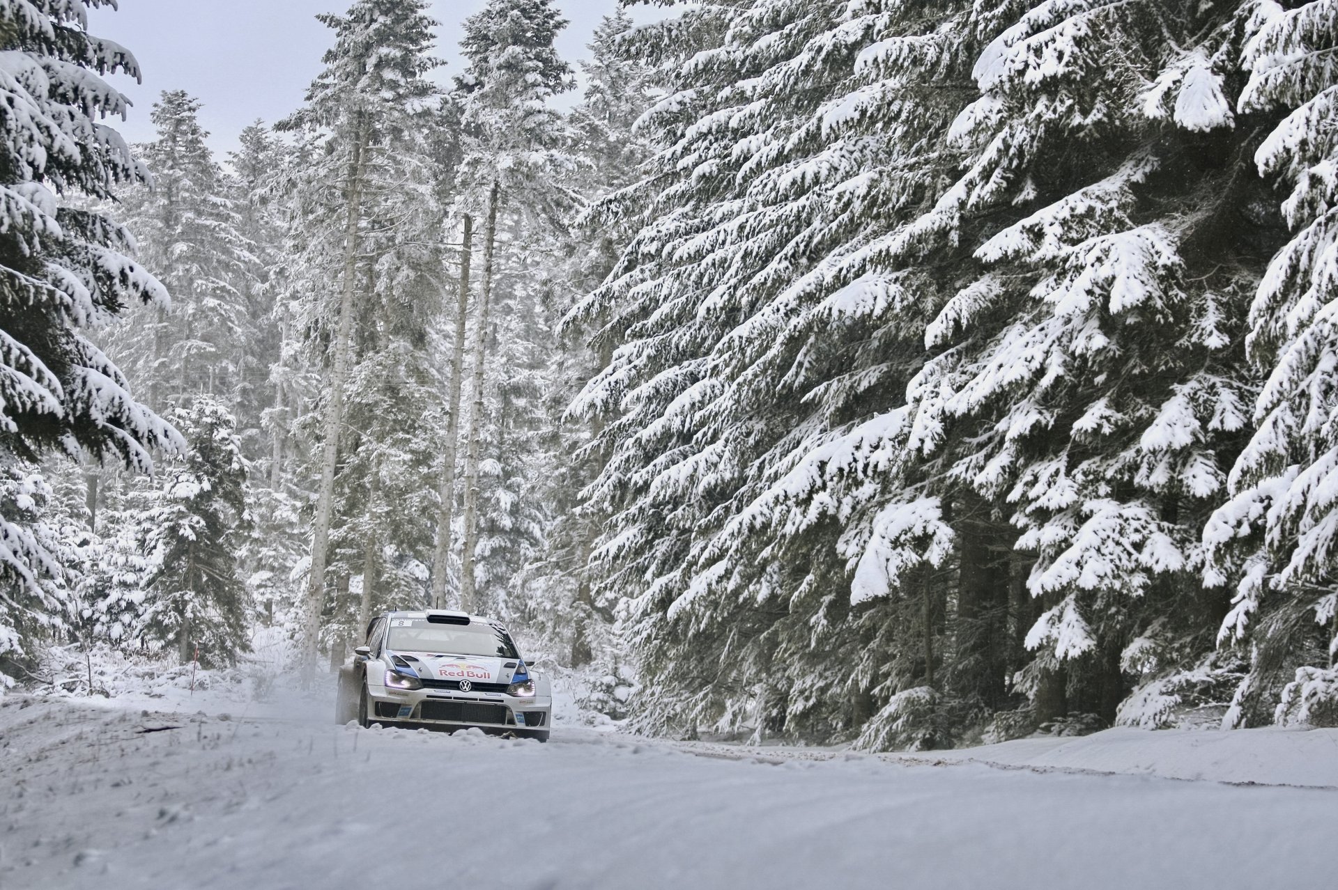 volkswagen polo wrc sébastien ogier zlot zima las samochód jedzie