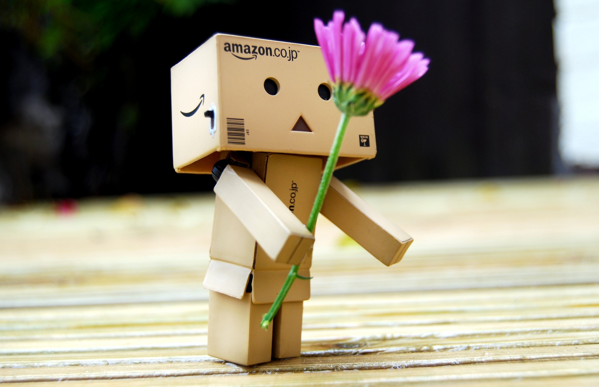 danboard danbo scatola robot giocattolo fiore regalo