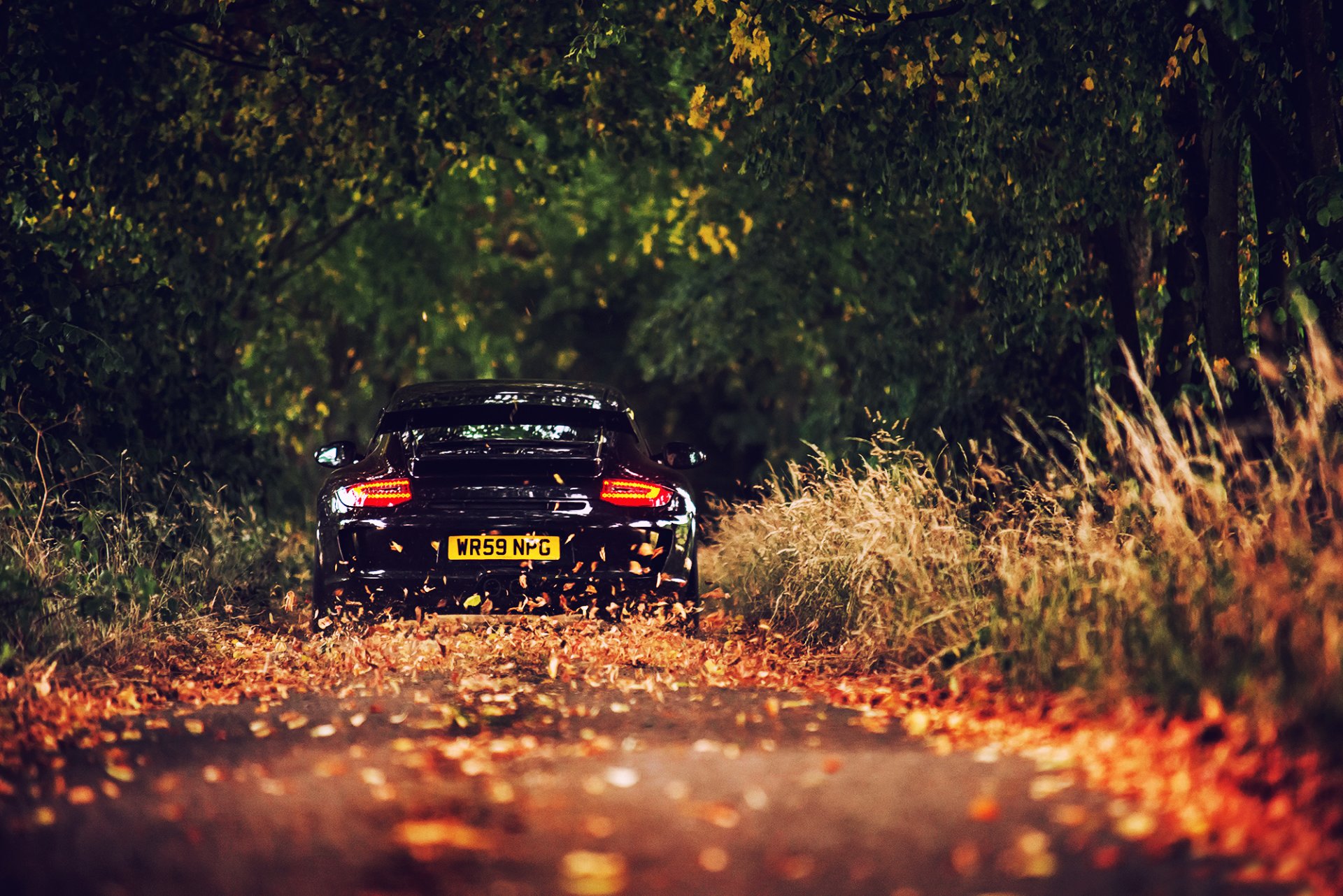 porsche gt3 straße laub