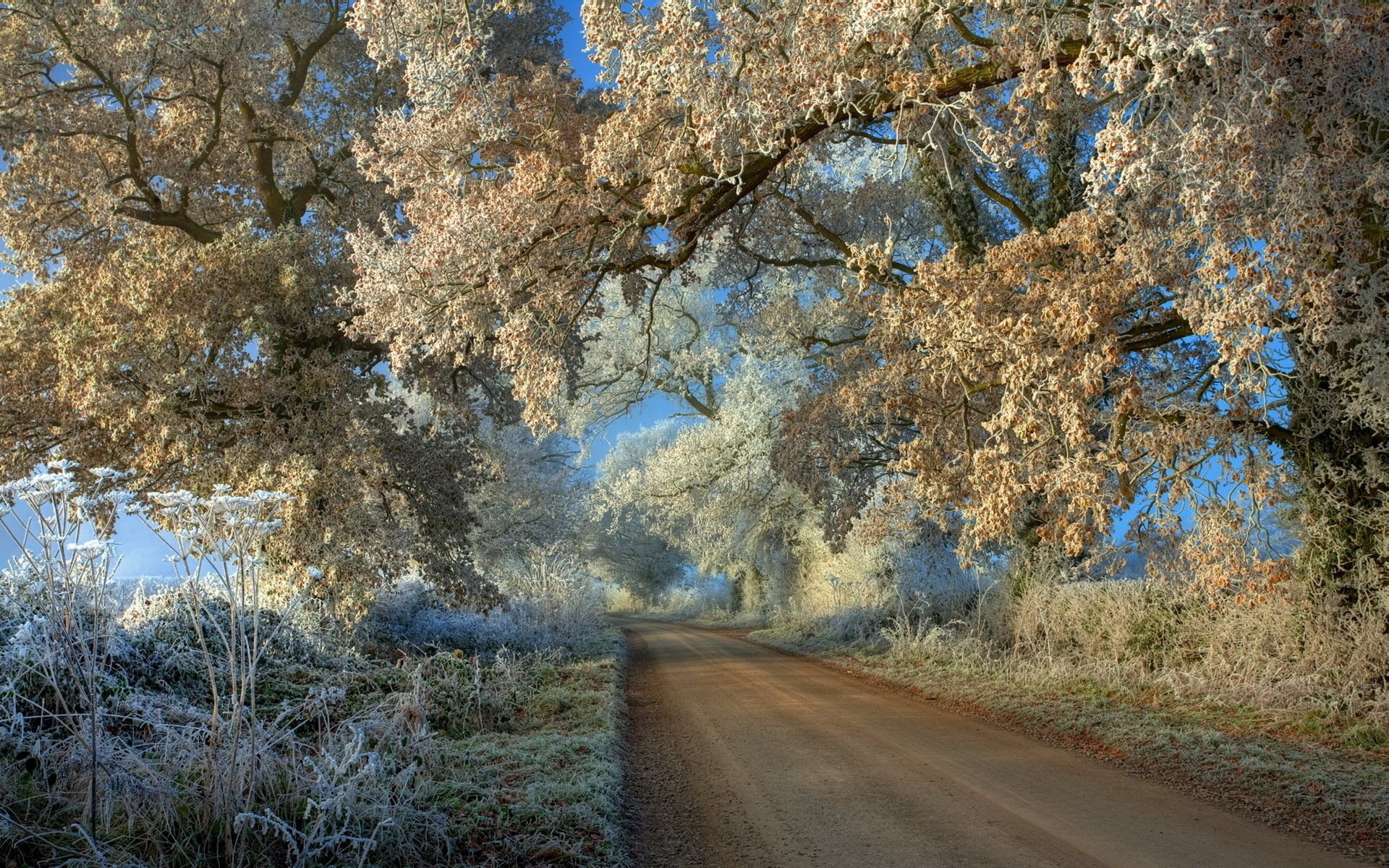 straße landschaft frost bäume