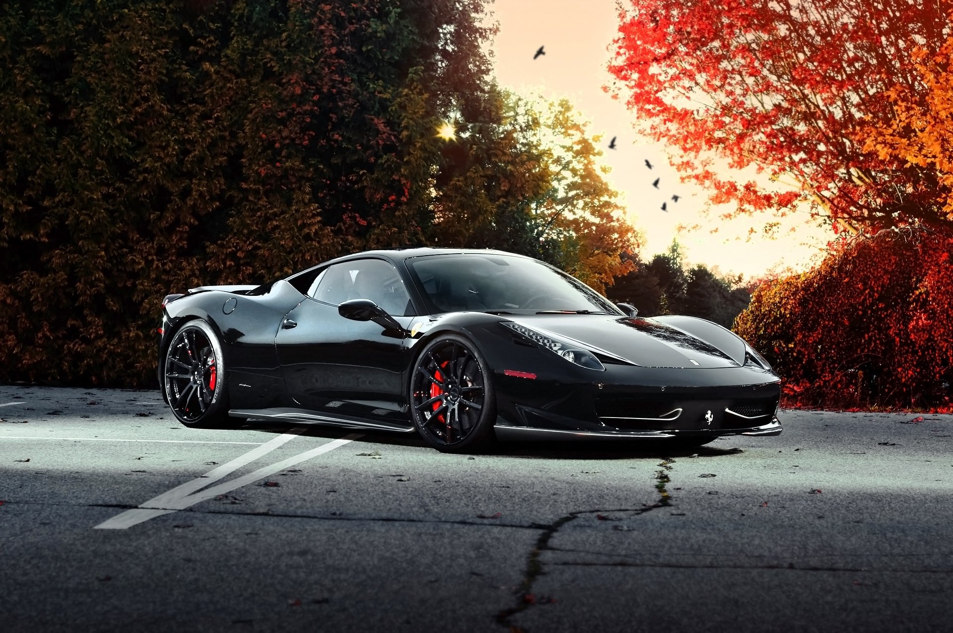 ferrari 458 italia negro otoño árboles cielo pájaros ferrari italia