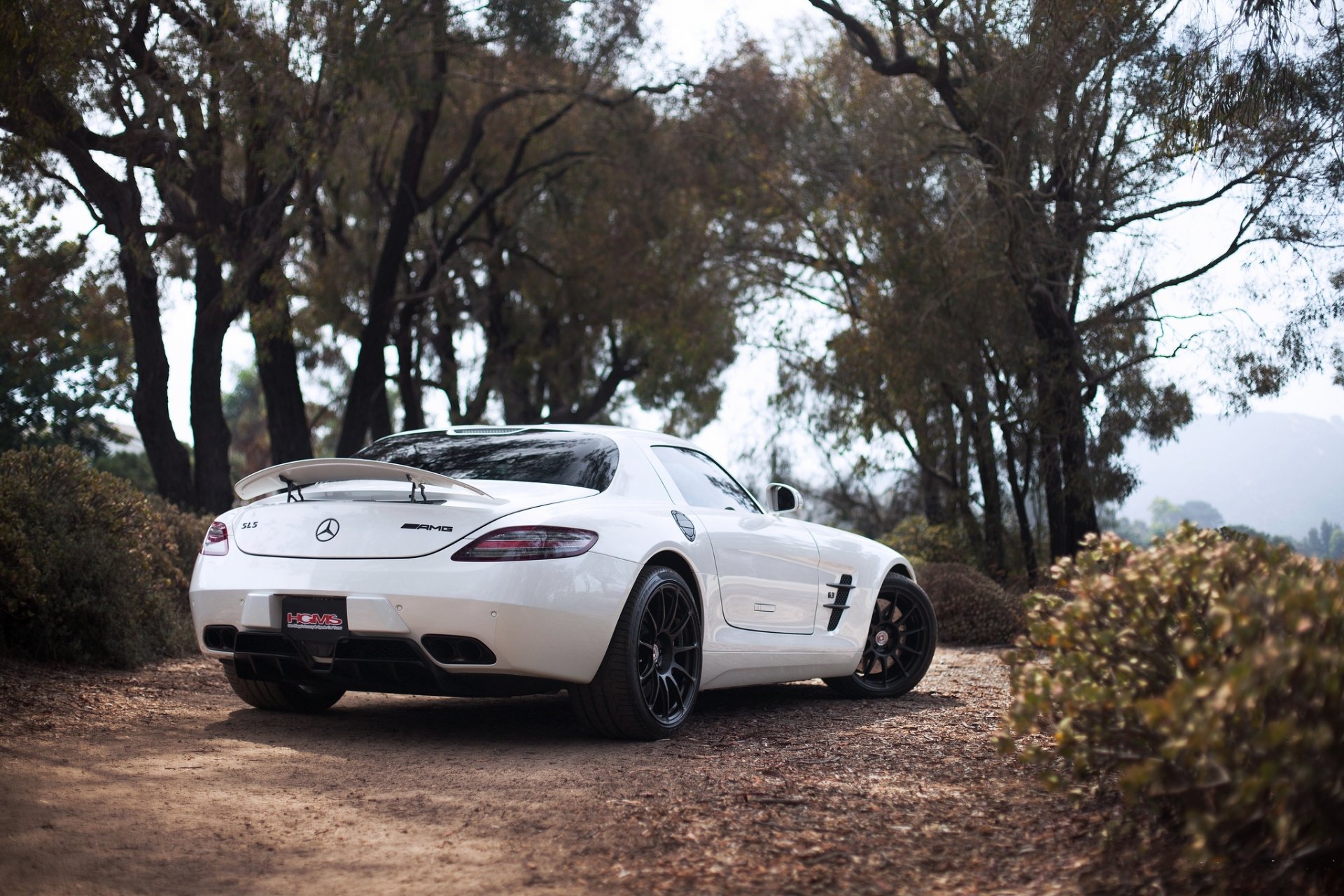 mercedes benz sls amg weiß mercedes benz sls amg rückansicht flügel himmel bäume