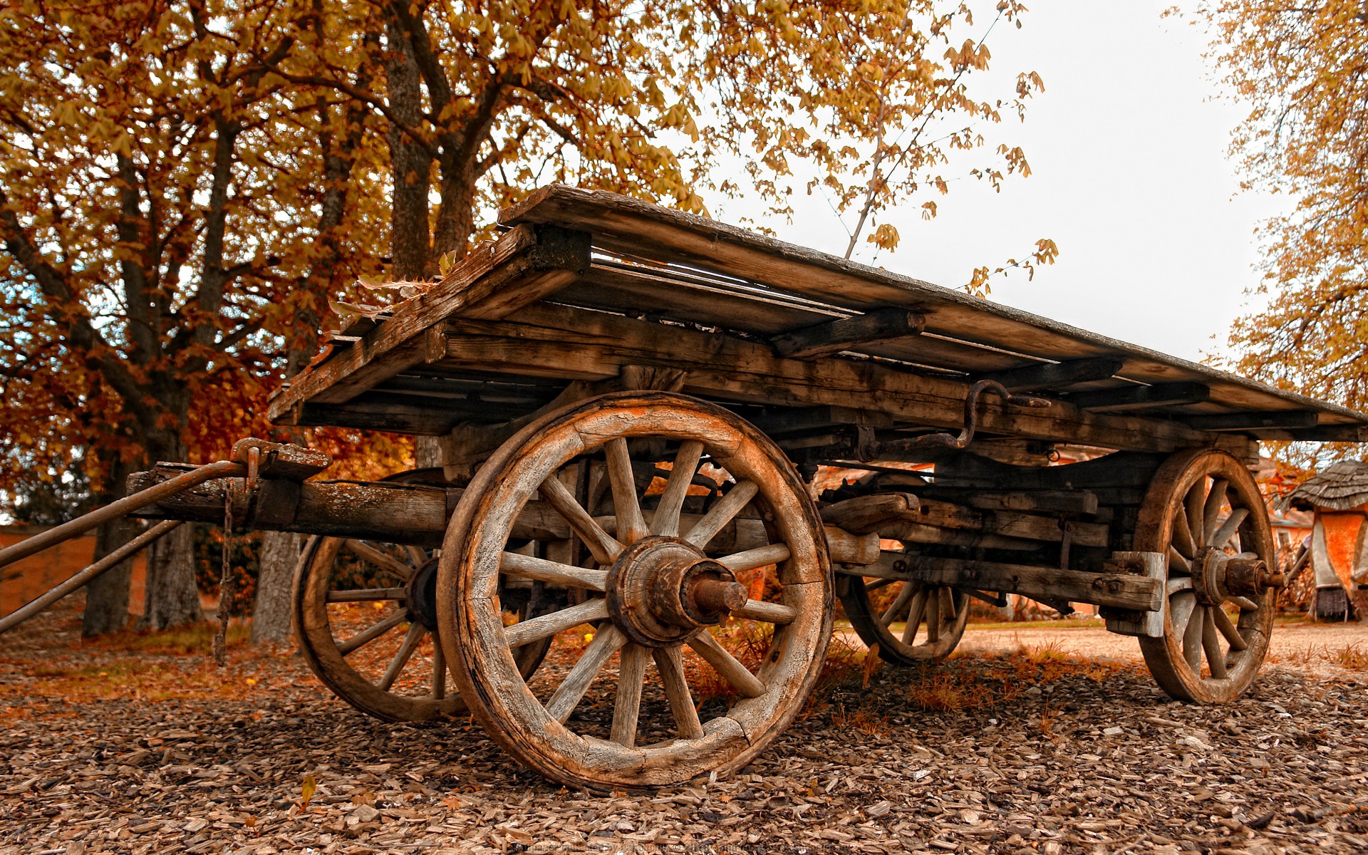 chariot vieux automne