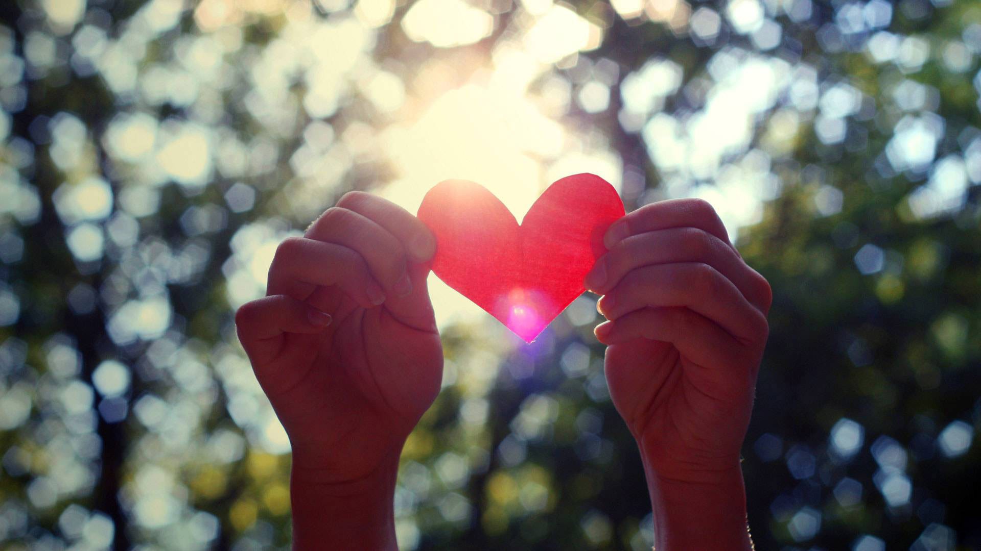 valentinstag hände herz valentinstag