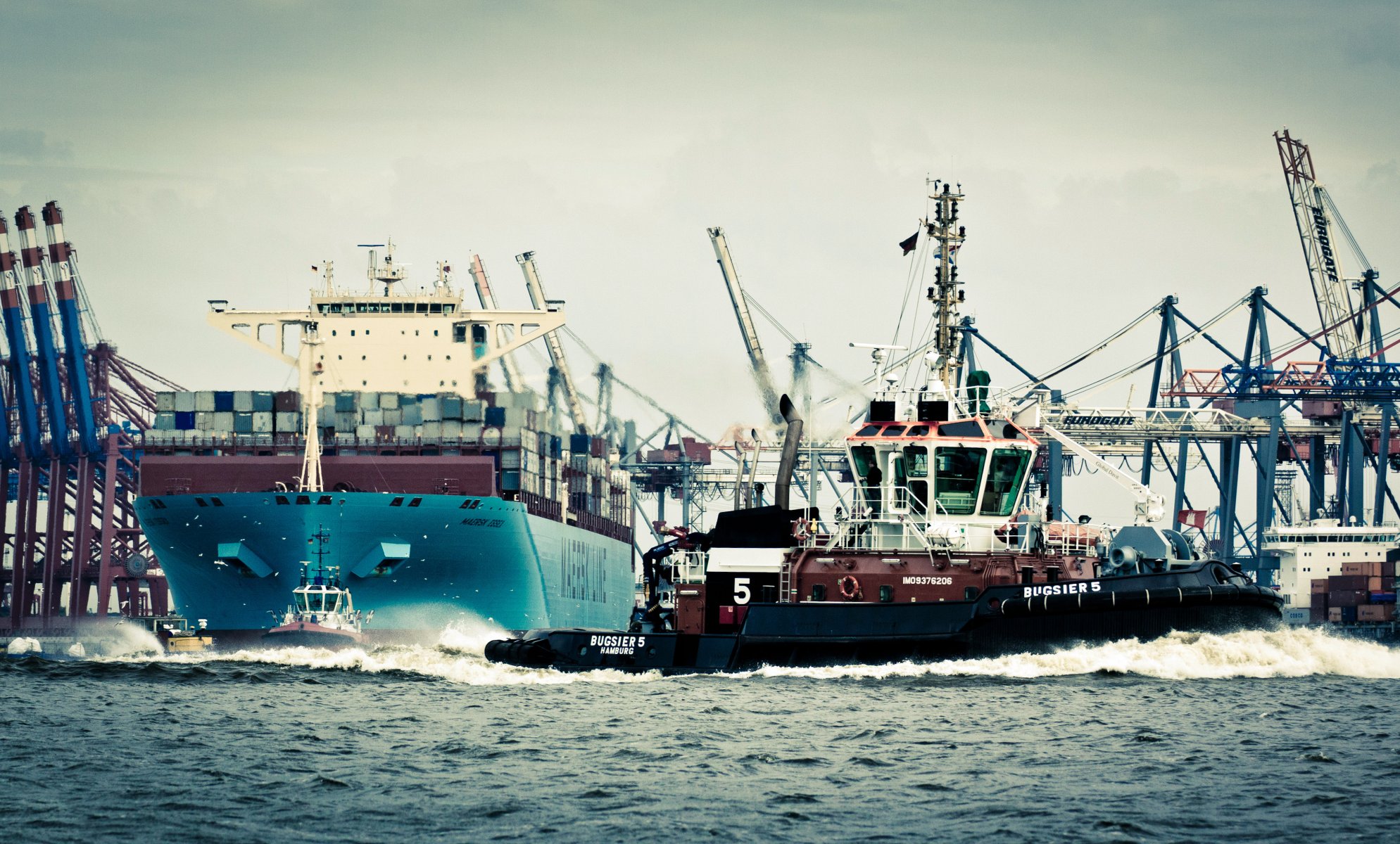 maersk line maersk essex maersk container ships tank lift gulls sea waste body board birds water germany the port hamburg crane