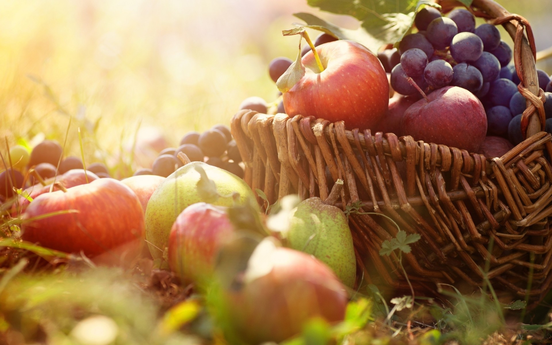 grapes light shopping pear apple