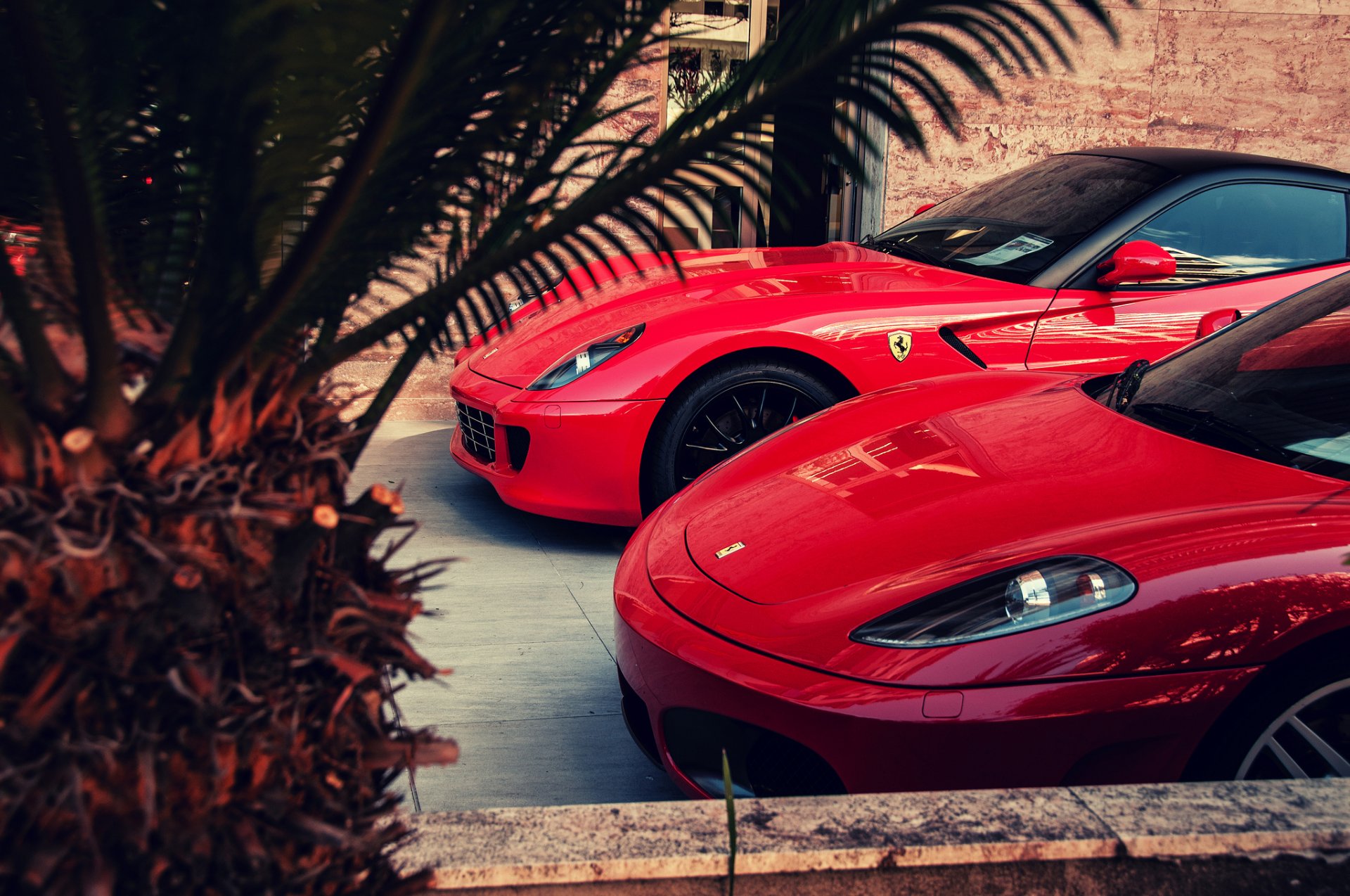 ferrari gto f430 rot palm ferrari rot