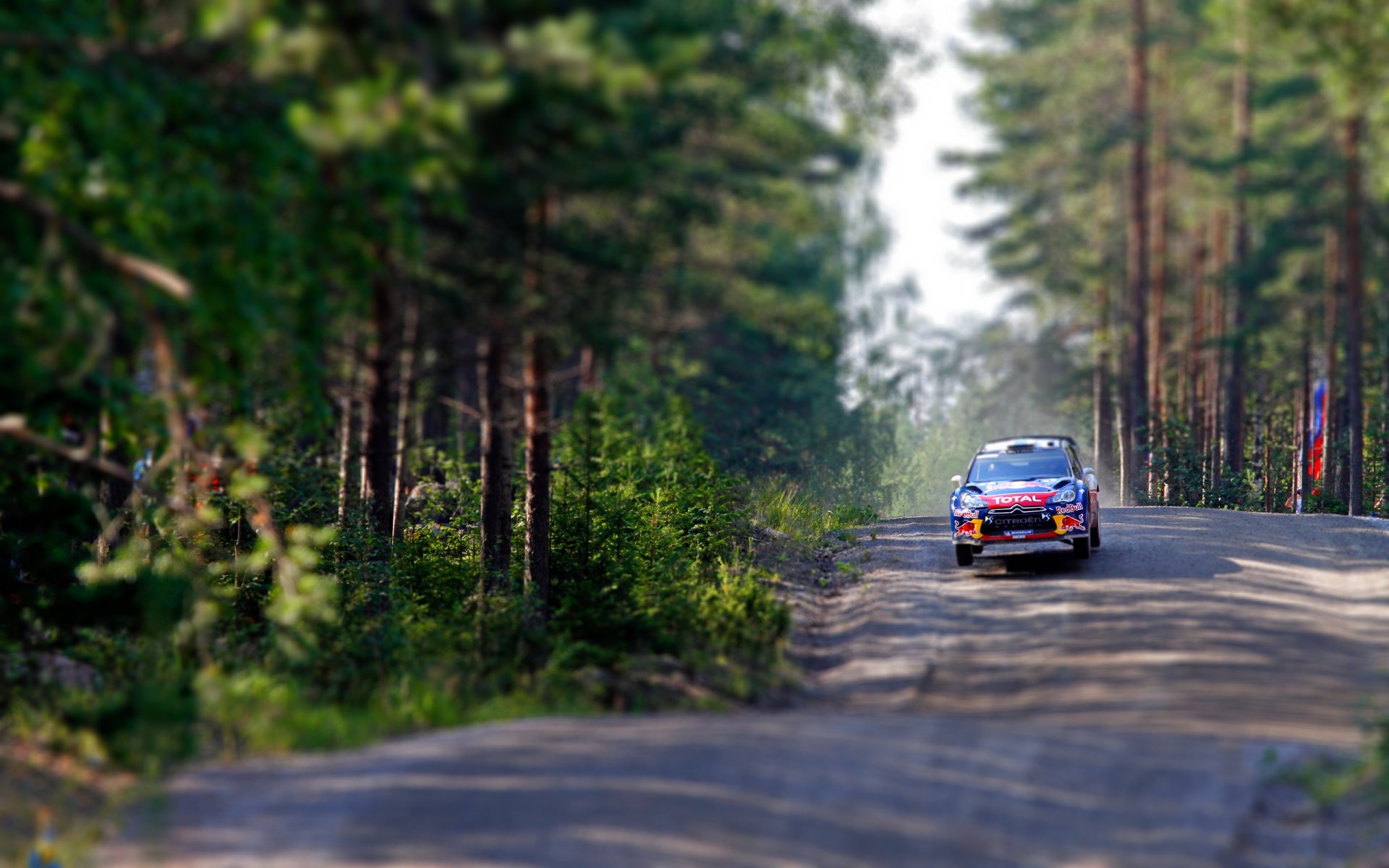 citroen ds3 rally wrc tilt-shift forest race flies speed tree