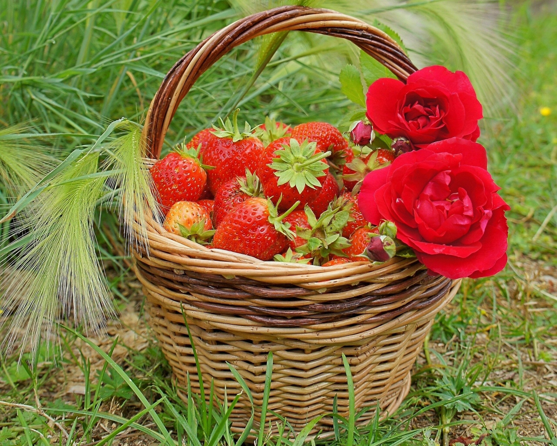 cesta bayas fresas rosas