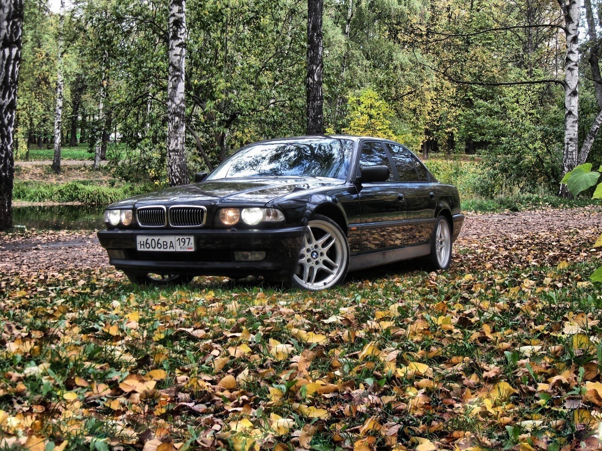 bmw 7 бмв лес бумер e38 осень