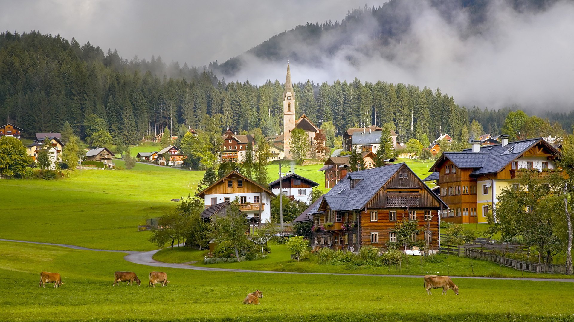 gosau village austria дома коровы деревня австрия