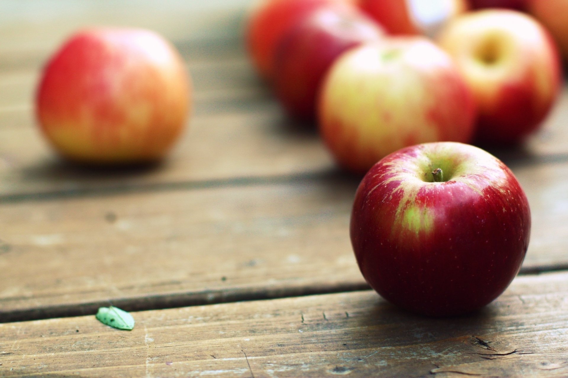 tisch bilder äpfel makro hintergrundbilder wallpapers obst apfel essen frucht rot baum