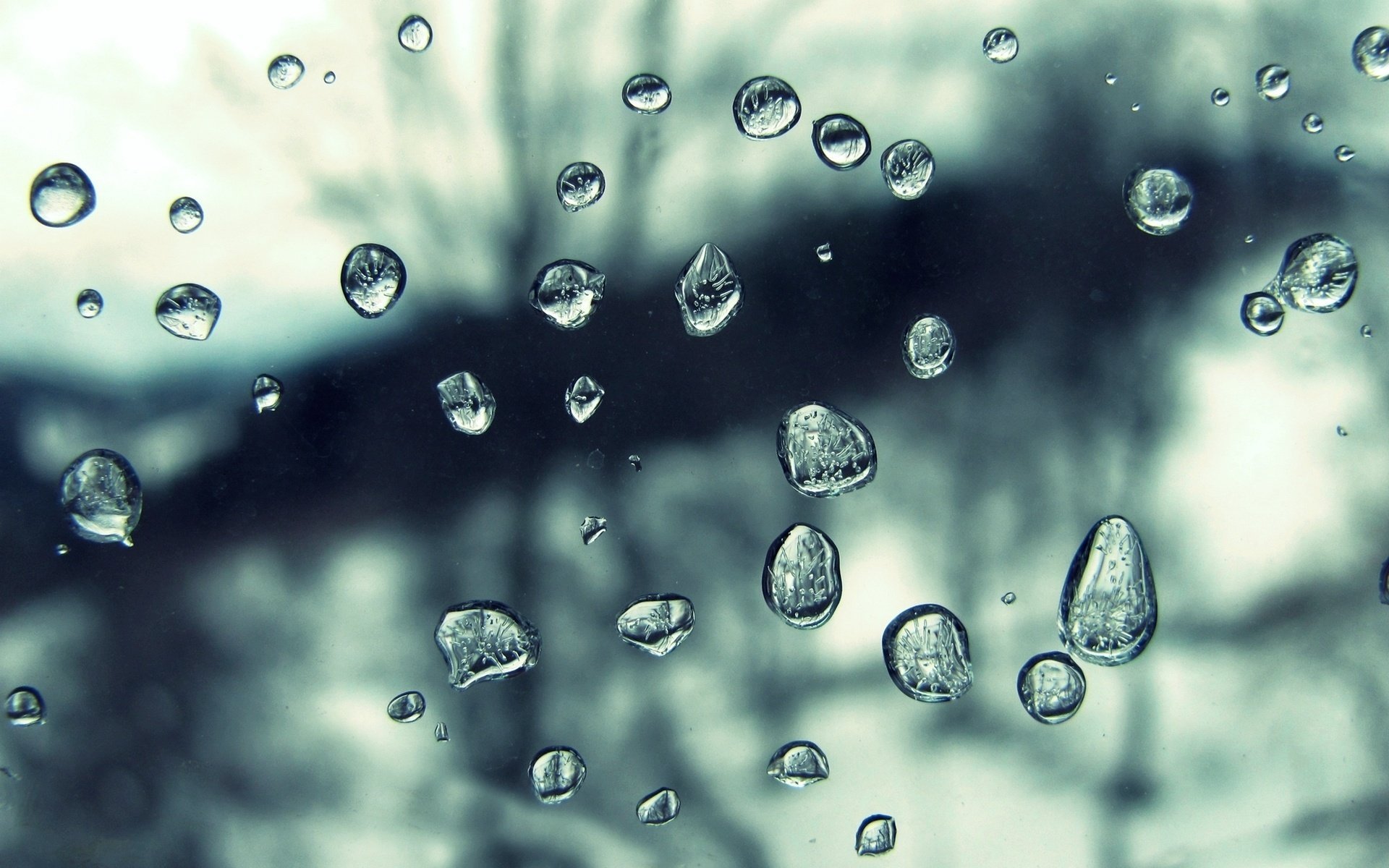 macro texture drops rain water