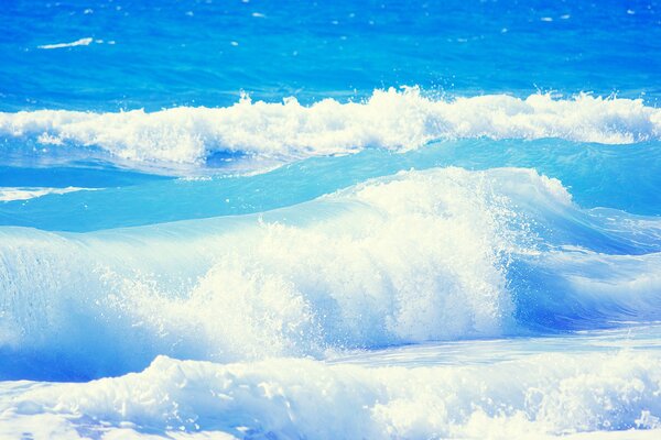 Vague de mer. Journée ensoleillée