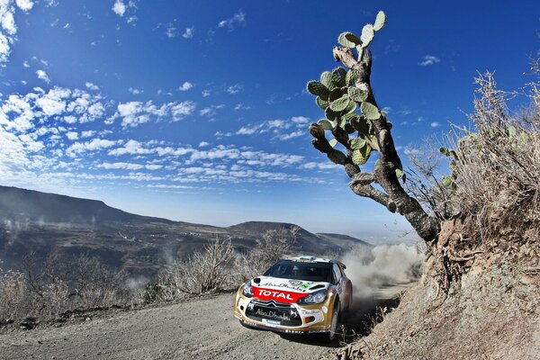 Sports rally in the mountains at speed