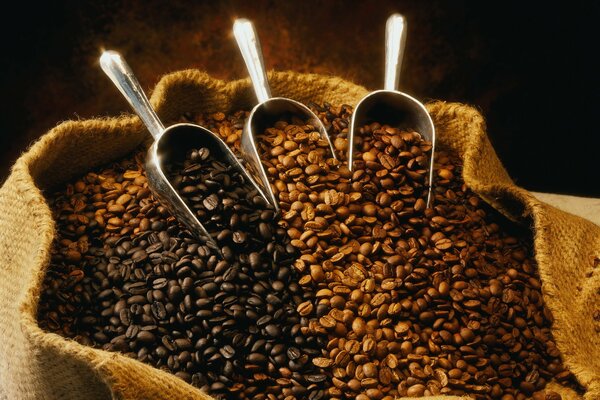 Coffee beans of different shades in a bag with shoulder blades