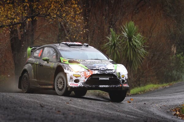 Auto de carreras Ford fiesta Rally paseos por la carretera a lo largo del bosque