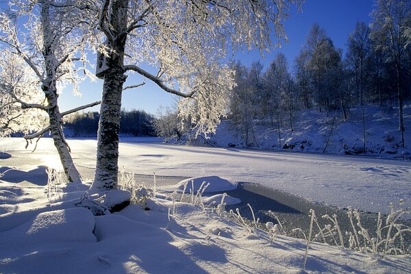 Paesaggio invernale: giornata di sole, albero nella neve, fiume ghiacciato