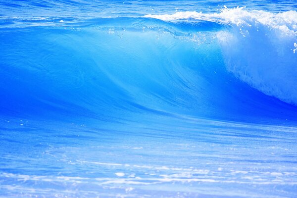 Clear sea. Smooth wave