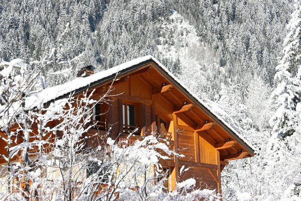 Cozy house in a snowy forest