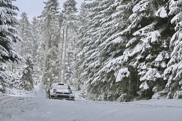 Volkswagen Polo en medio de un bosque cubierto de nieve