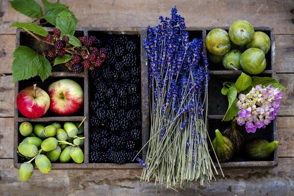 Beeren, Früchte und Blumen in einer Holzkiste