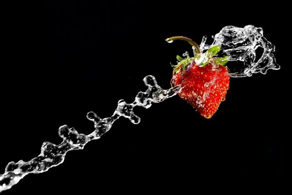 Salpicaduras de agua y fresas sobre un fondo negro