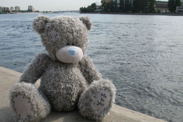 Teddy bear on the background of the river