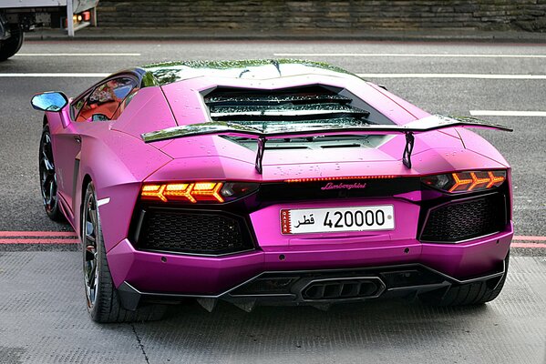 Premium-Auto mit Lamborghini aventador Spoiler