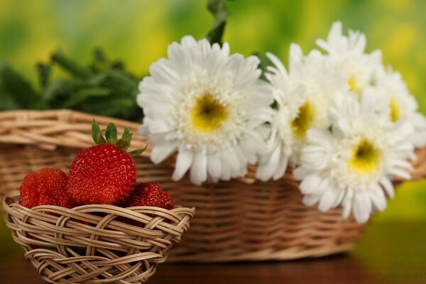 Ein großer Weidenkorb mit weißen Kamille und ein kleiner Korb mit Erdbeeren