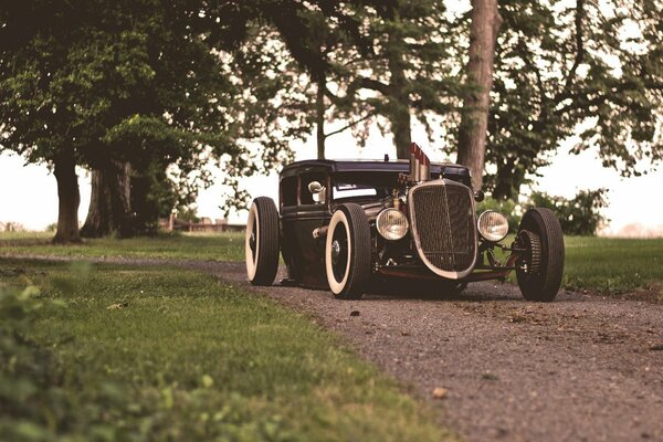 A rare Ford on the road in the forest