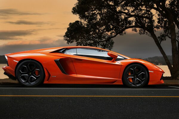 Picture orange lamborghini aventador lp700-4 car on the road