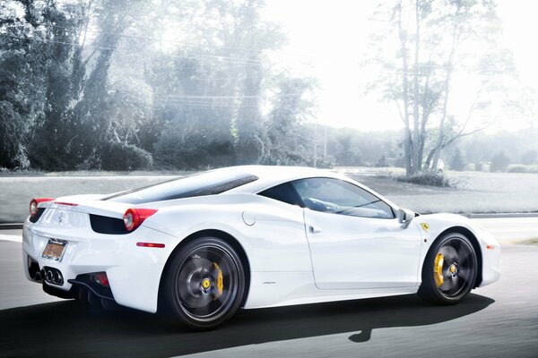 Hermoso ferrari blanco conduce a la velocidad