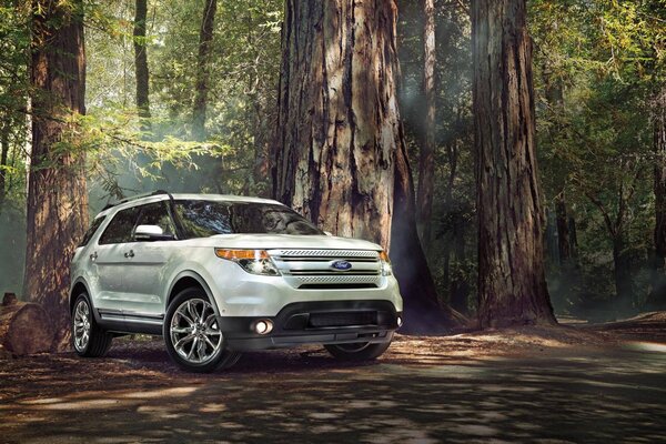 Ford exploer sport utility vehicle in the woods