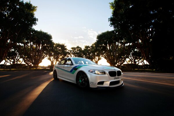 Bmw bianca su uno sfondo di alberi