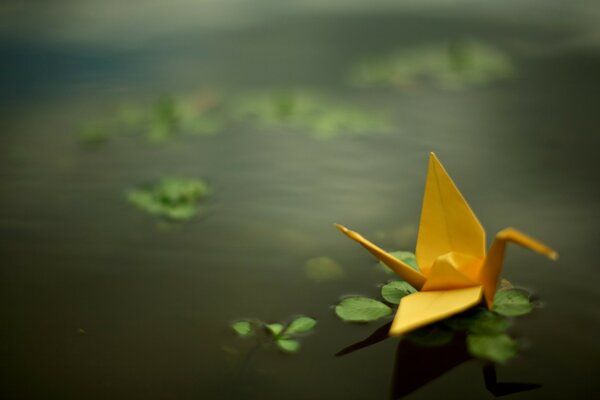 Grue en papier jaune sur l eau