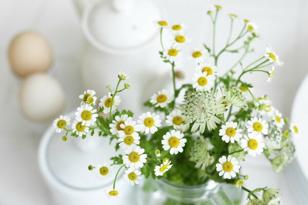 Bouquet of field daisies on the background of white dishes