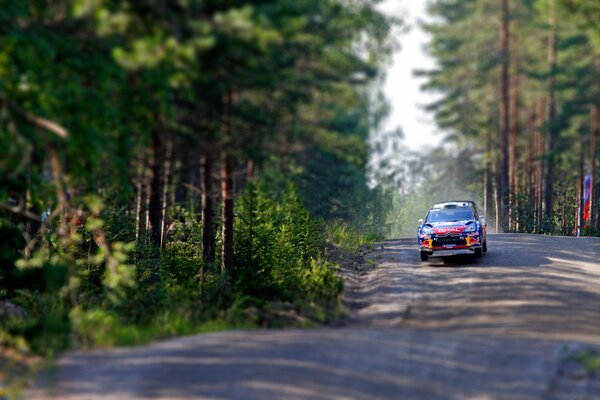 Course de forêt, vole à la vitesse de la lumière