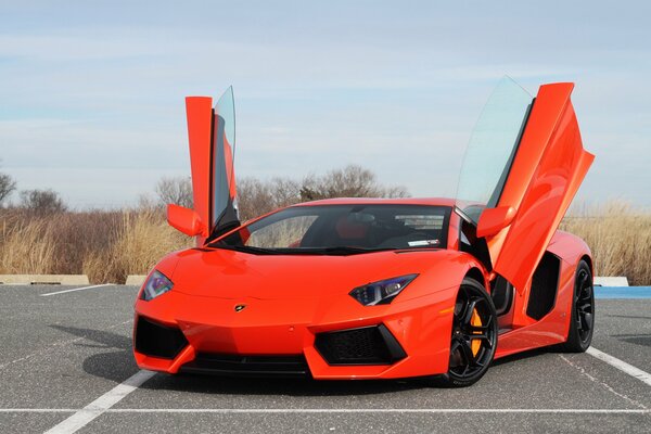 Lamborghini avec guillotine portes ouvertes