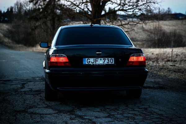 Bmw 740 dans un arbre solitaire paysage d automne