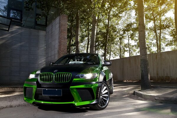 BMW car in black and green on a background of trees